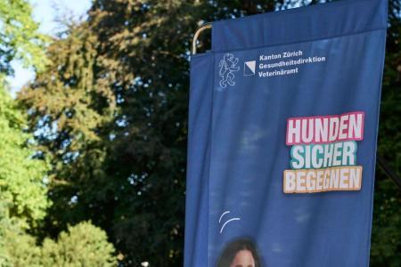 Kampagne «Hunden sicher begegnen»