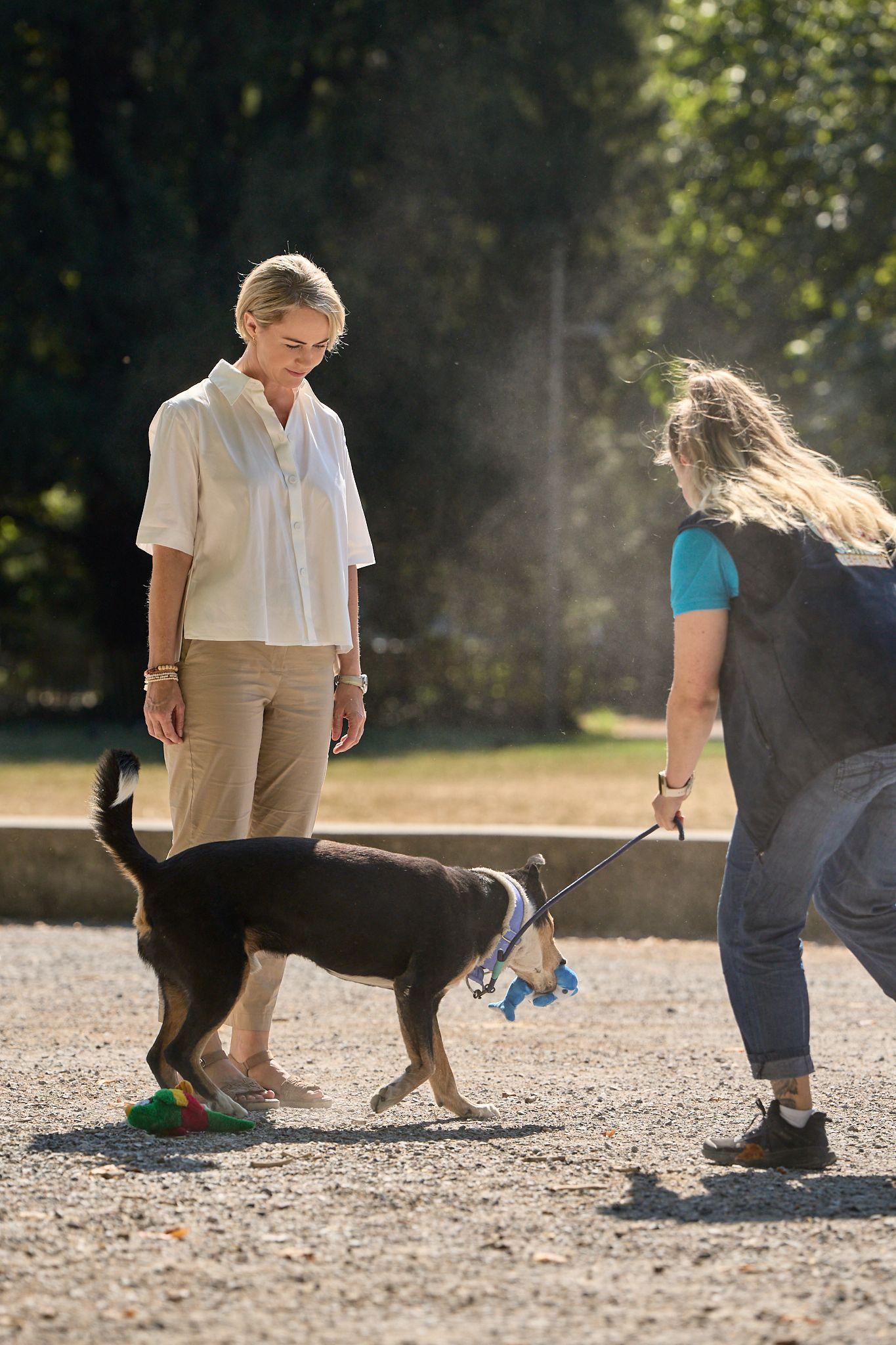 Gesundheitsdirektorin Natalie Rickli bei der Umsetzung eines von neun Verhaltenstipps im Umgang mit Hunden. 