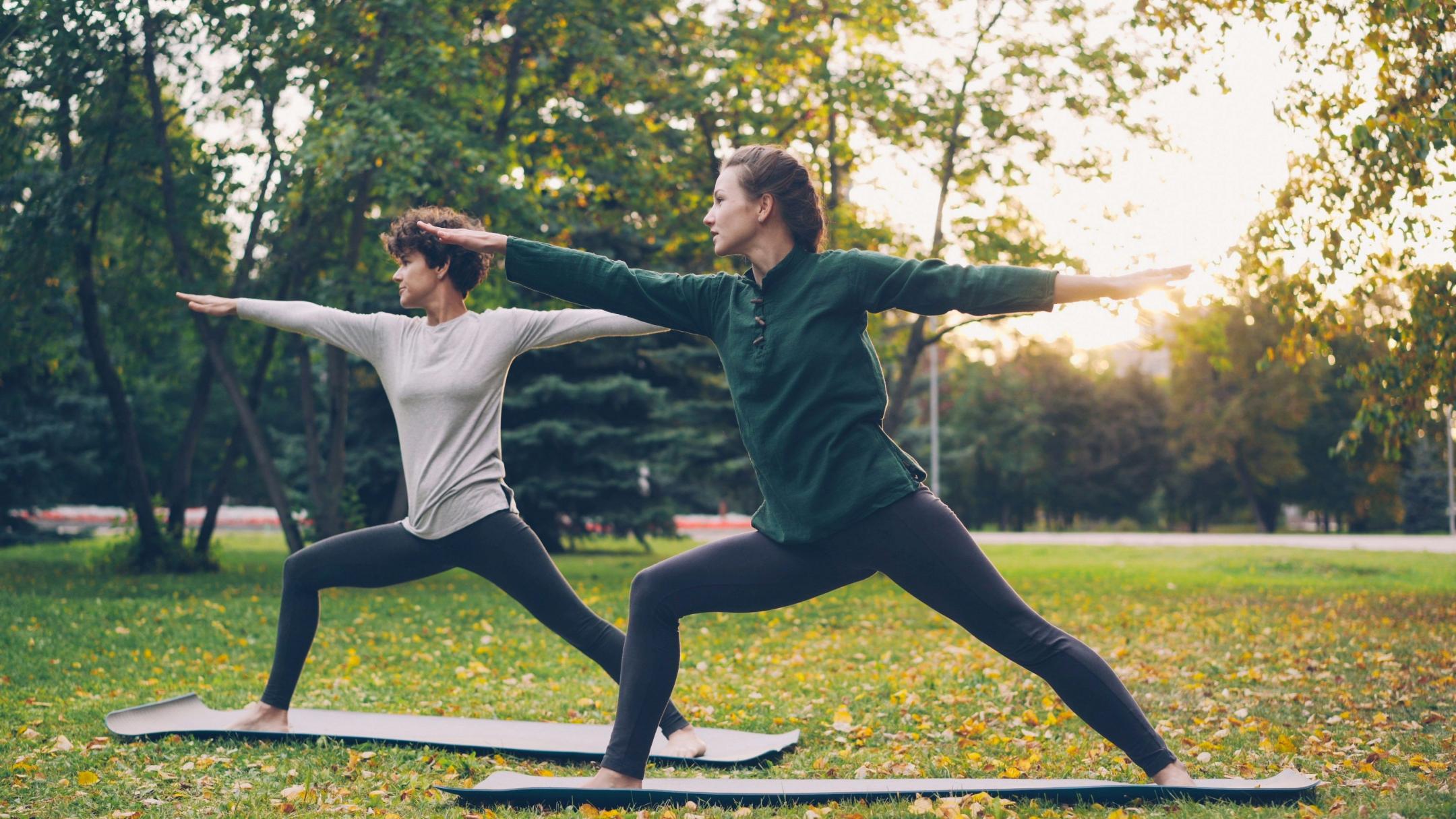 Zwei Frauen in Sportbekleidung stehen auf einem Park in einer Yogapose auf einer Matte.