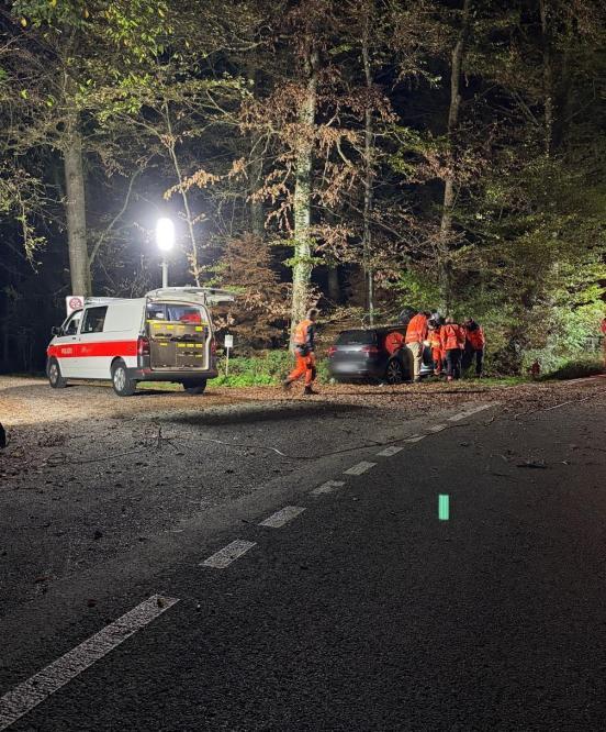 Mehrere Polizisten stehen um eine dunkles Fahrzeug, das an einem Baum steht. Daneben steht ein Polizeifahrzeug  umgeben von Wald bei Nacht