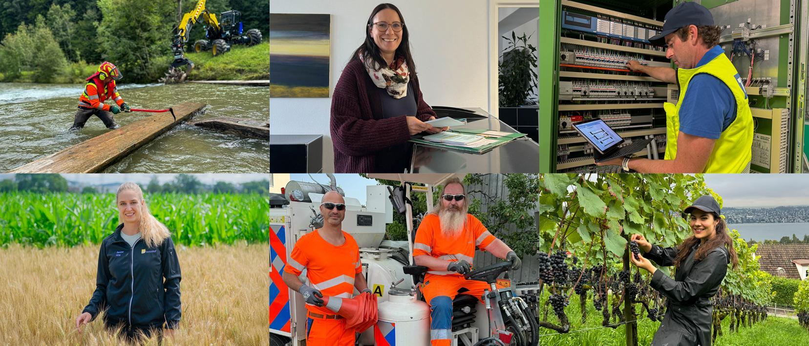 Collage mit 6 verschiedenen Jobprofilen: Mann bearbeitet im Fluss ein Brett, Frau steht im Büro, Mann prüft Elektrokasten, Frau steht in Getreidefeld, zwei Männer mit Strassenreinigungsmaschine, Frau bei Rebstock