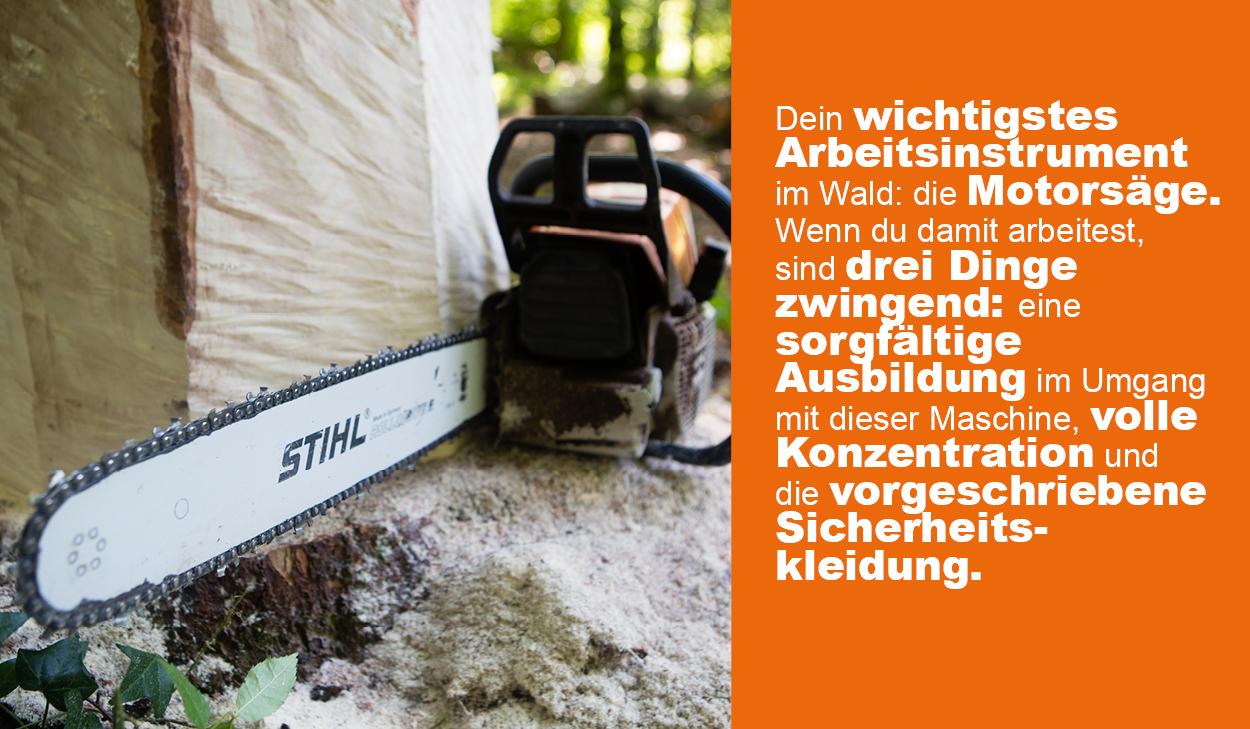 Fotoreportage Forstwart