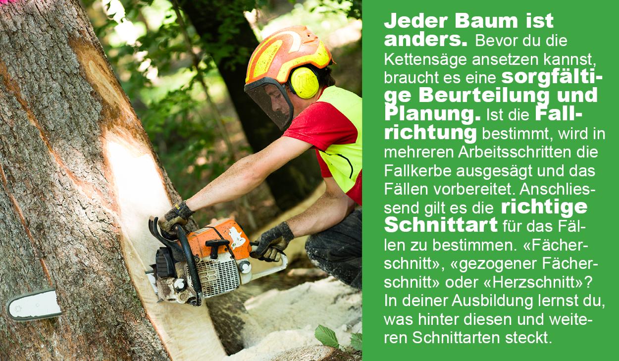 Fotoreportage Forstwart