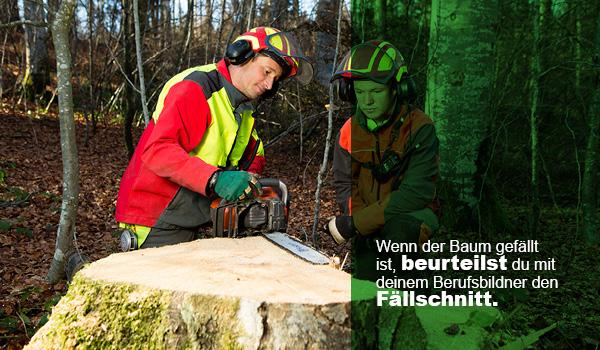 Fotoreportage Forstwart