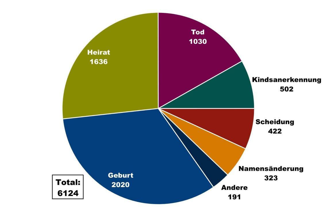Diagramm der geprüften Ausländischen Urkunden. Die visuell dargestellten Werte finden Sie auch in der folgendenTabelle.