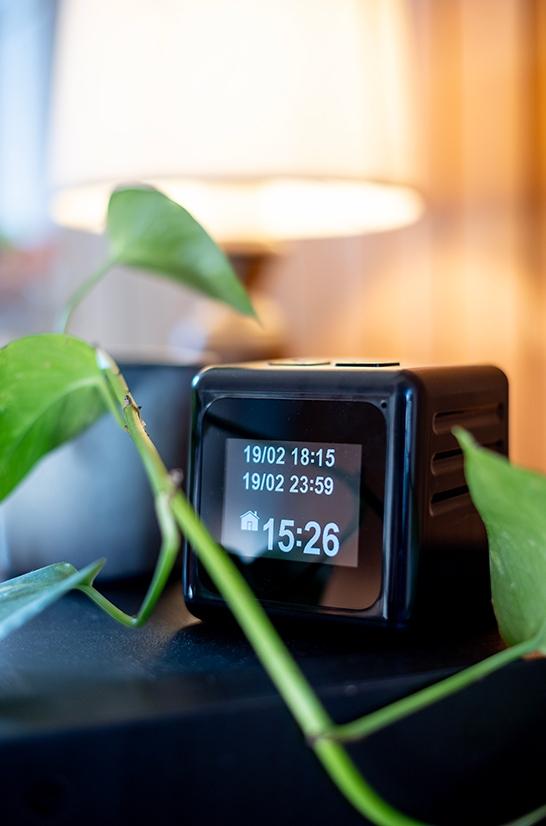 Das EM-Empfangsgerät steht auf einem Möbel, davor steht eine Pflanze.