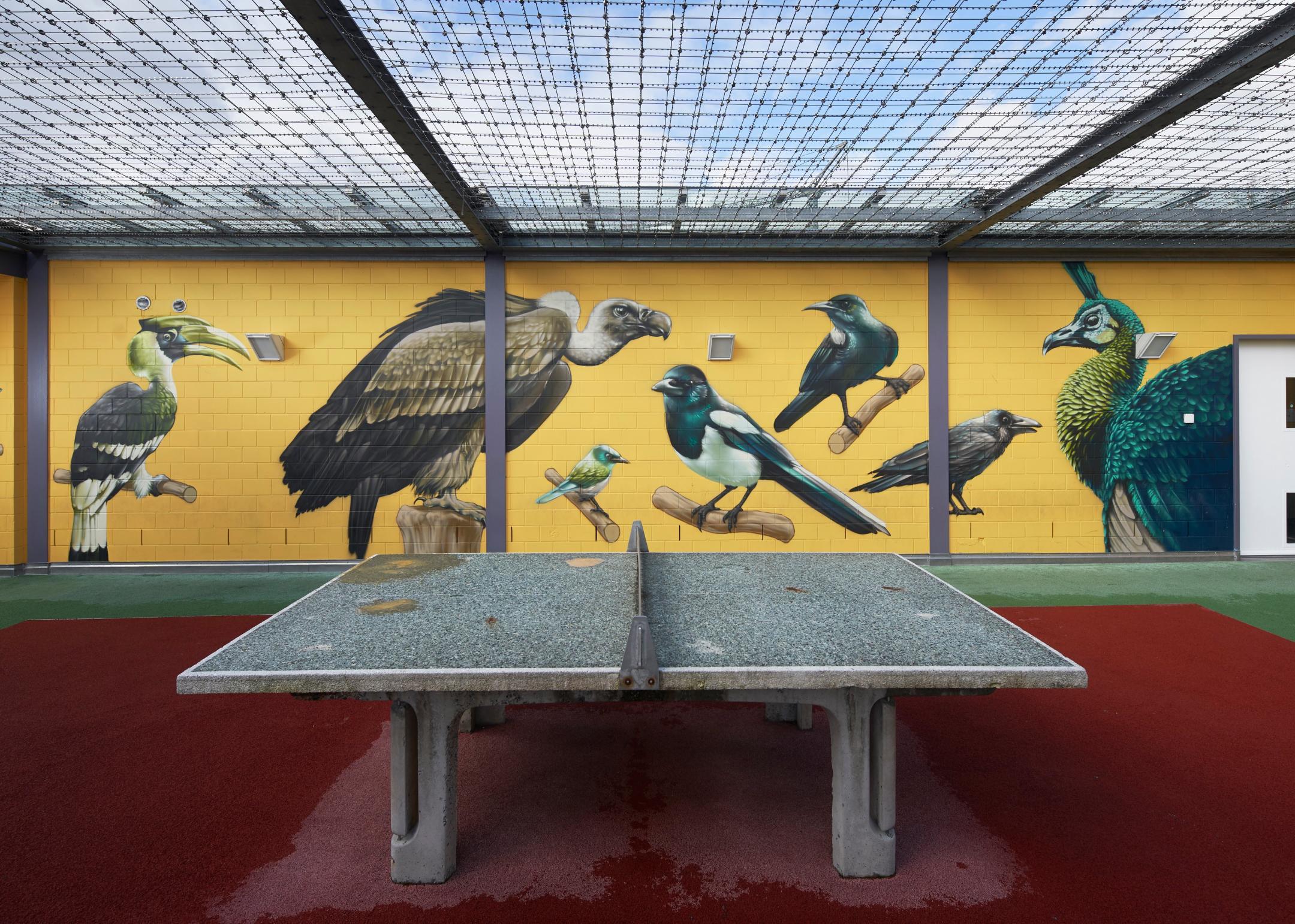 Abgebildet ist der Spazierhof des Gefängnis Pfäffikon. Auf dem Bild zu sehen sind ein Tischtennistisch und die farbigen Wandmalereien mit Vogelillustrationen. 