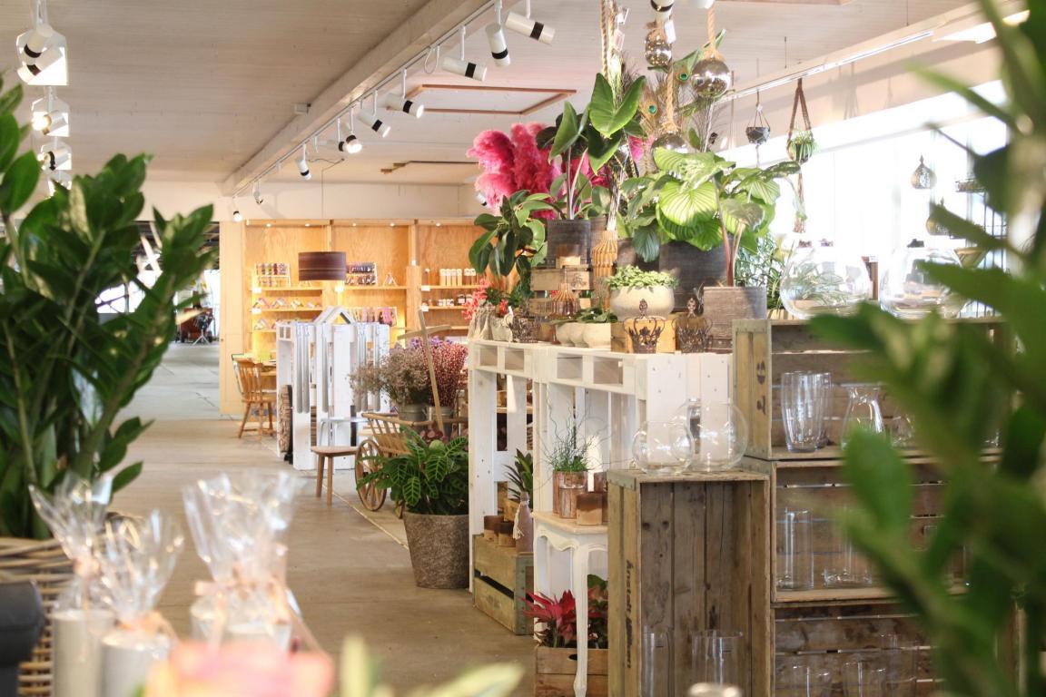 Laden mit Blumen, Möbeln und Dekoration.
