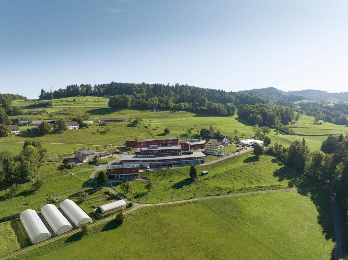 Grüne Felder, Bauernhof mit mehreren Gebäuden und Gewächshäusern.