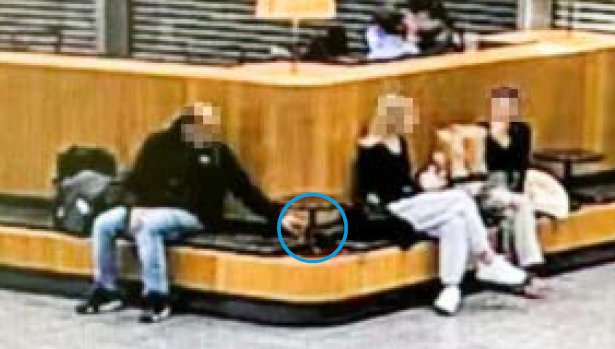 Foto einer Überwachungskamera zeigt einen Mann, der  auf einer Bank sitzt und eine Frau hinter ihrem Rücken die Handtasche entwendet. Sie ist im Gespräch mit einer zweiten Frau.