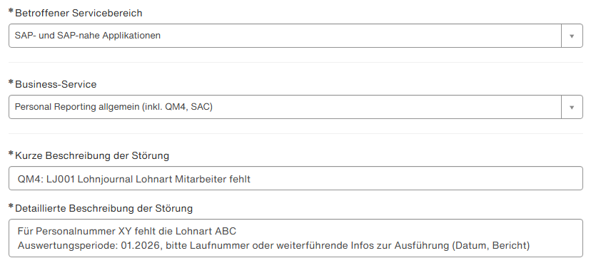 Screenshot Störungsmeldung