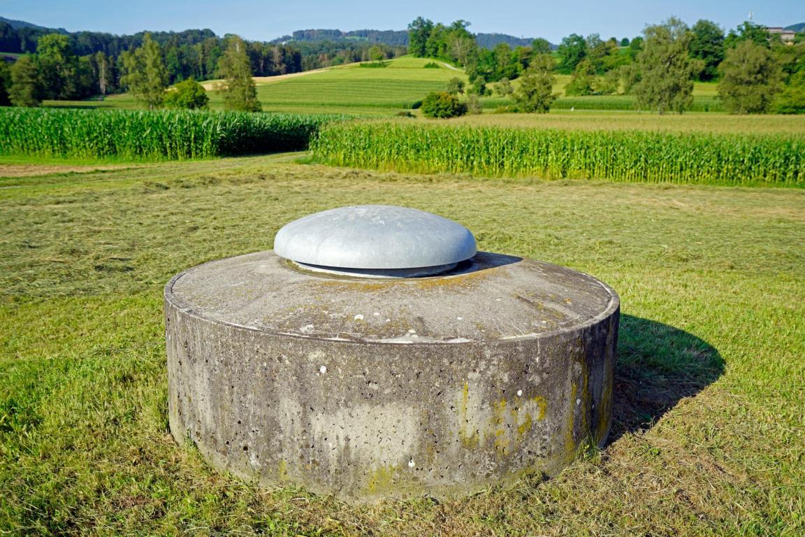 Trinkwasserfassung in einer Wiese vor einem Maisfeld