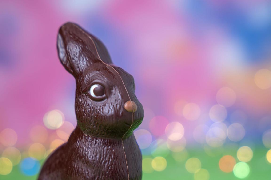 Ein Osterhase aus dunkler Schokolade.