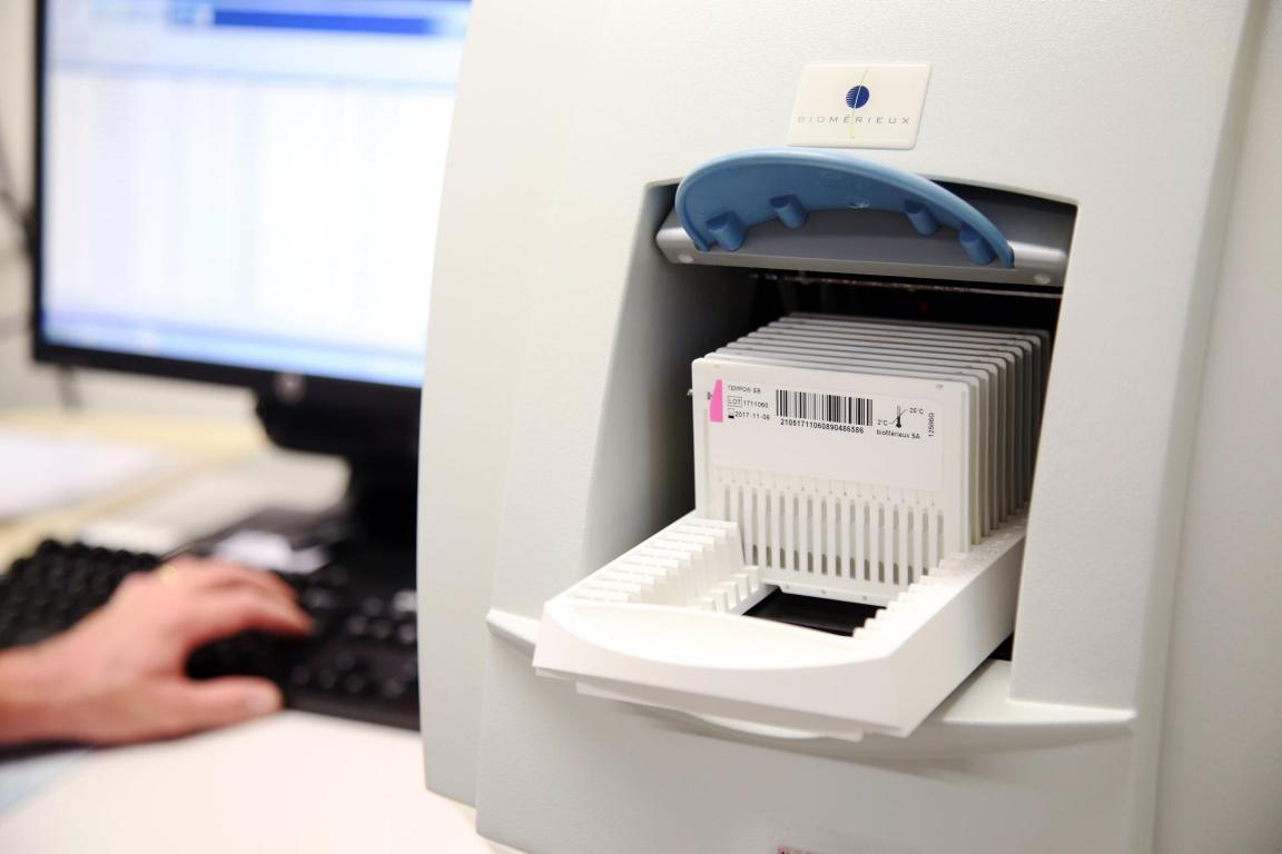 Nachweis der Enterobacteriaceae in Hygieneproben