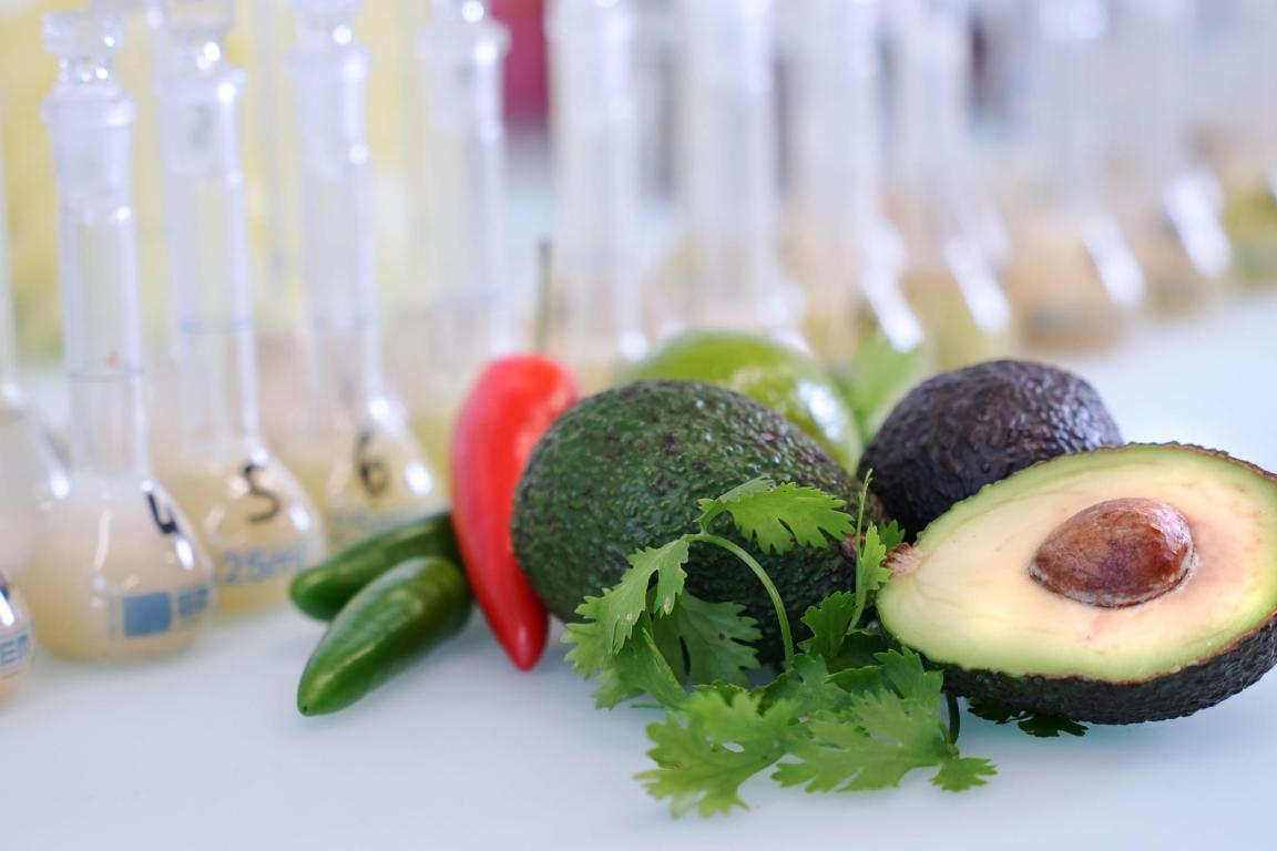 Die Zutaten von Guacamole liegen vor einer Reihe mit gefüllten Messkölbchen