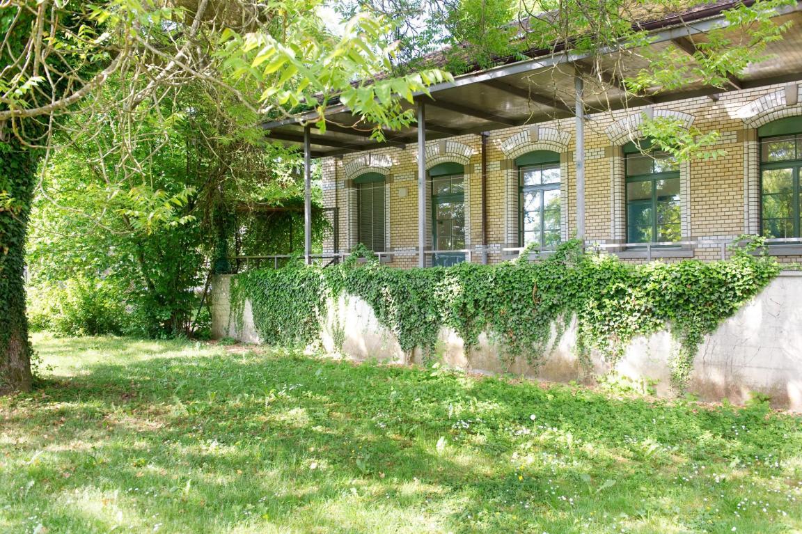 Rückansicht der Liegenschaft der Wohngruppe Stöckli. Sie ist von einer Grünfläche mit Bäumen umgeben.