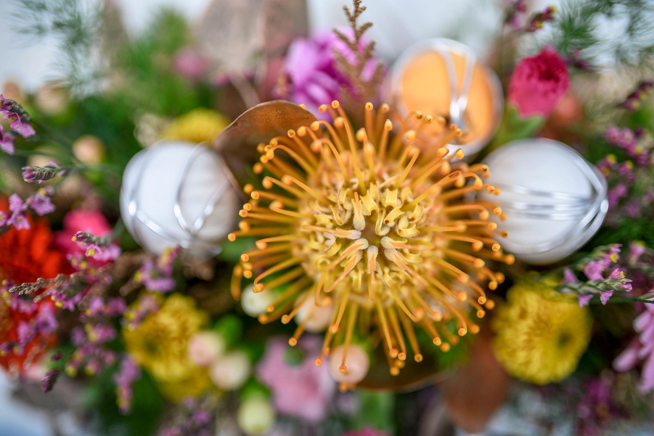 Impressionen zur Eroeffnung des Sportzentrum Kerenzerberg, am Donnerstag, 16. Dezember 2021 (Melanie Duchene)DIE BILDER DUERFEN NUR FUER DIE BESPROCHENE VERWENDUNG GEBRAUCHT WERDEN, WEITERE NUTZUNGEN SIND MIT DER FOTOGRAFIN, MELANIE DUCHENE ABZUKLAEREN.