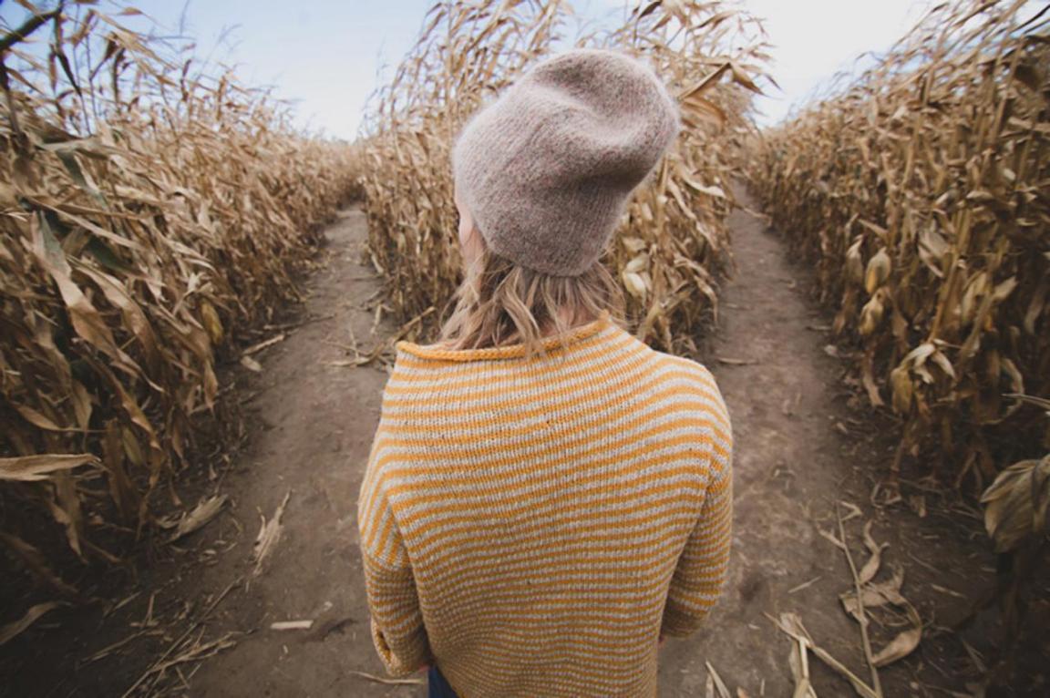 Eine junge Frau mit grauer Kappe und gelb-weiss-gestreiftem Pullover schaut, den Rüken zu Kamera gewandt, in ein bereits vertrocknetes Maisfeld.