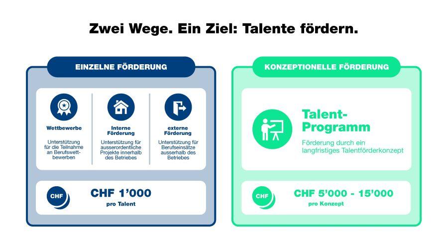 Übersicht Förderkategorien Talentförderung Plus