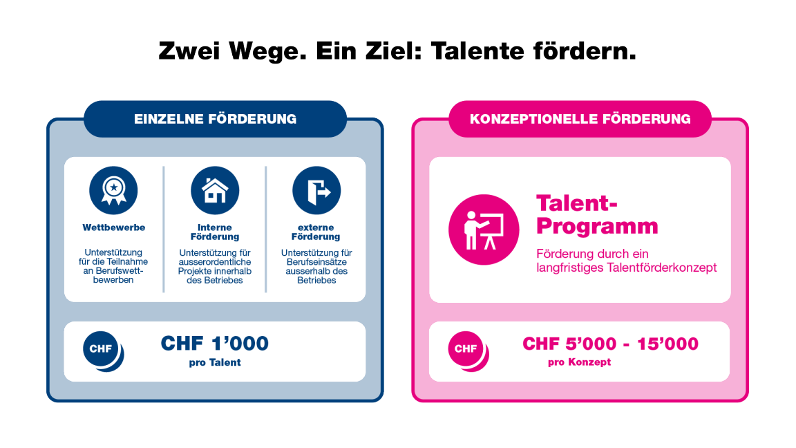 Übersicht Förderkategorien Talentförderung Plus