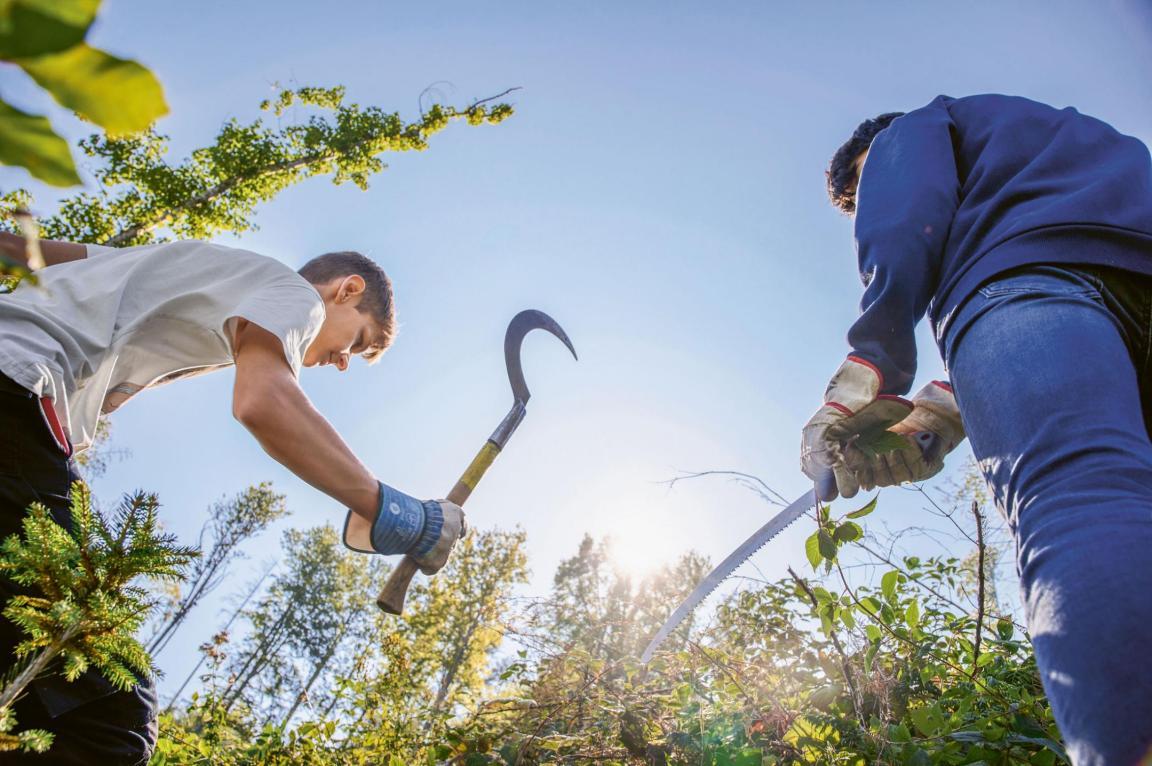 Sicheln und Hacken im Bannwald