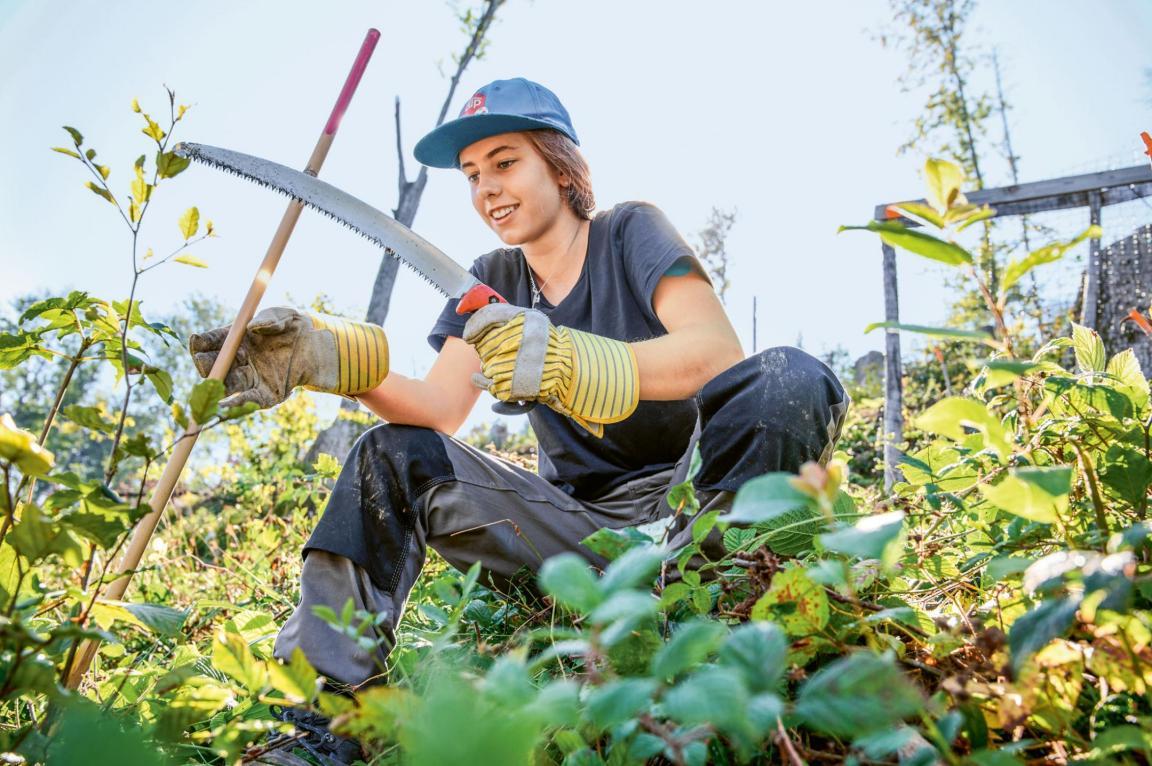 Eine Jugendliche sitzt in Handwerkerkluft im Unterholz und rodet mit einer Handsäge Himbeerstauden.