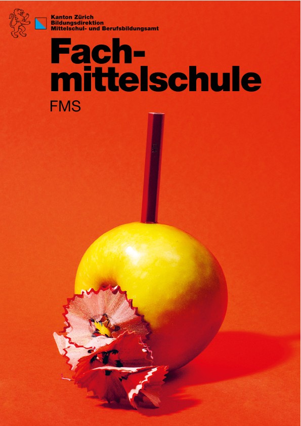 Broschüre Fachmittelschule (September 2025)