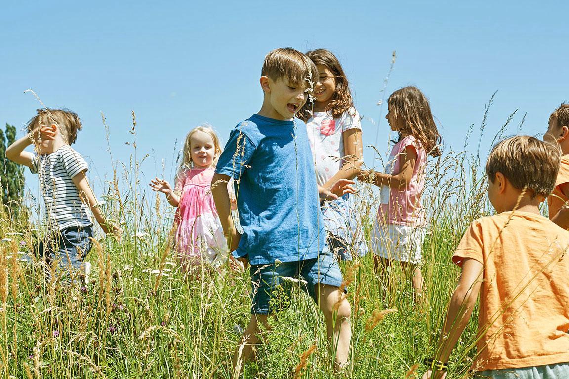 Eine Gruppe Kinder spielt auf einer Sommerwiese.