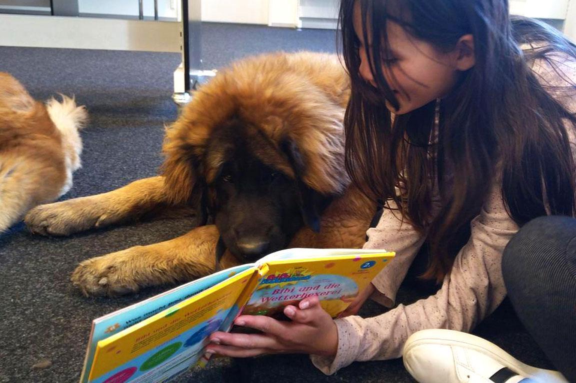 Ein Mädchen liest einem Hund aus einem Kinderbuch vor.
