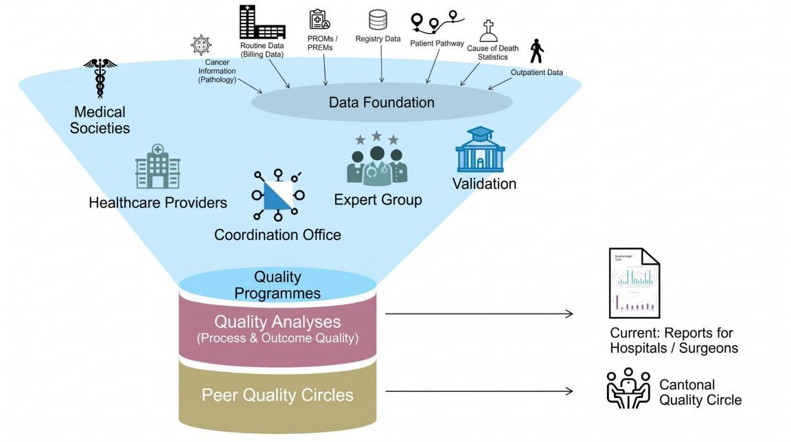 Structure of the Quality Programmes