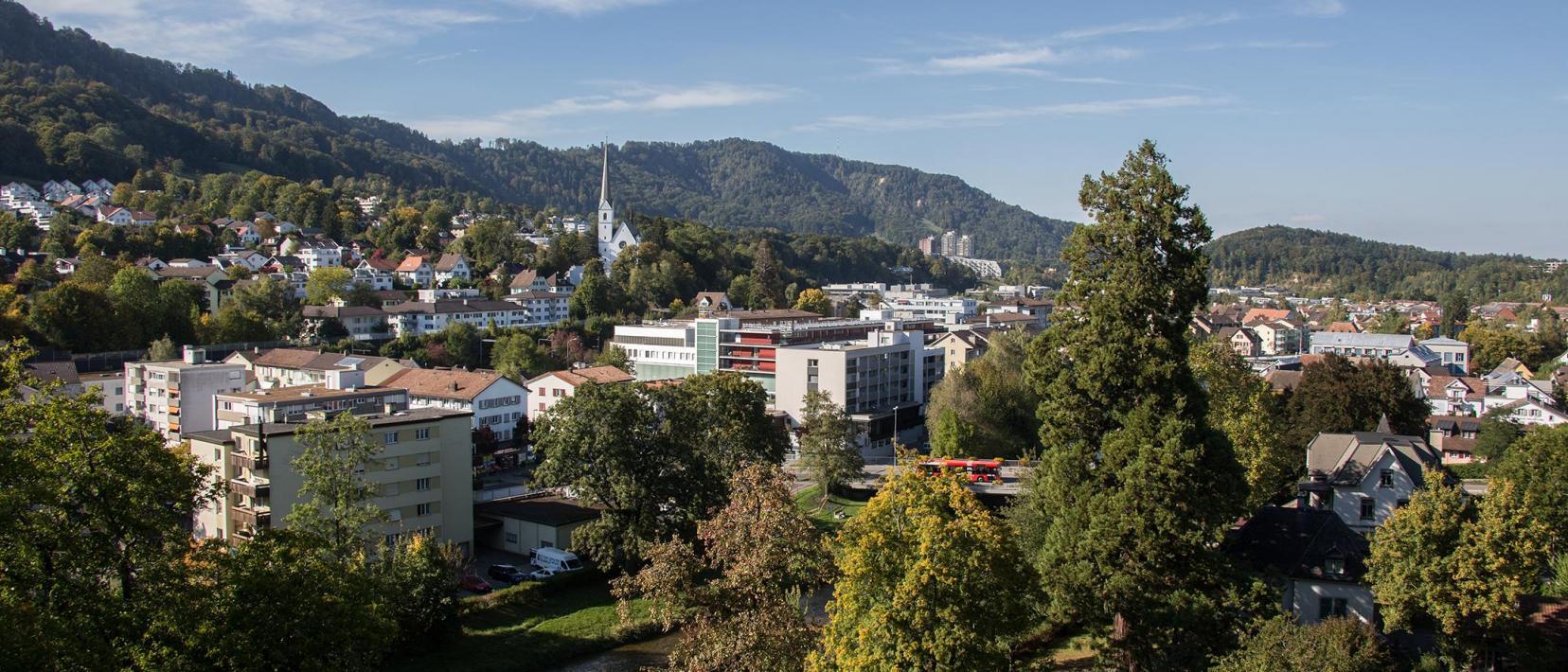 Das Bild zeigt eine Ansicht der Stadt Adliswil.