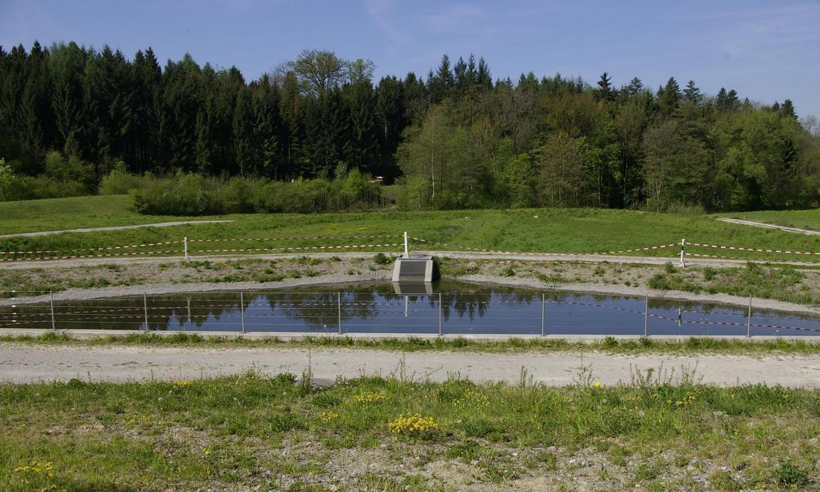 Eine Strassenabwasserbehandlungsanlage mit Wiese und Wald im Hintergrund