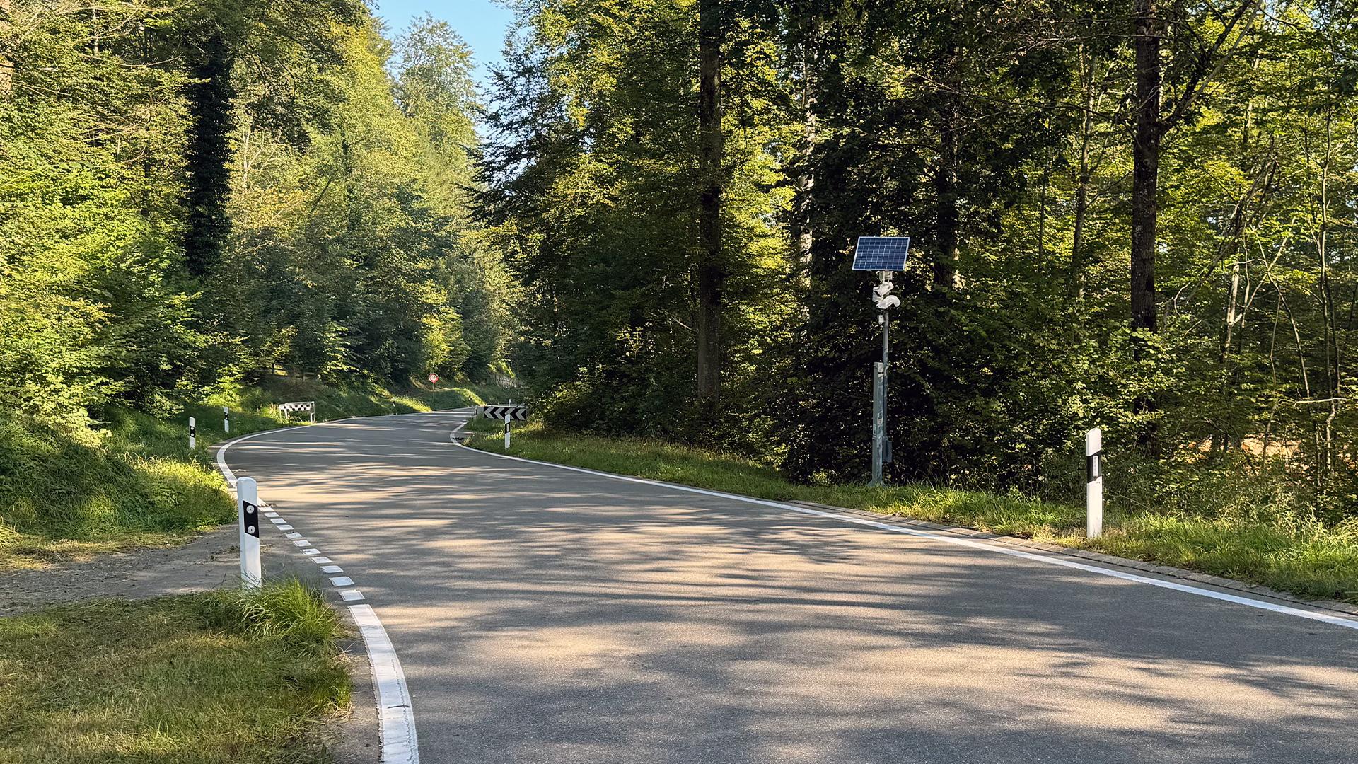 Strasse im Wald mit solarbetriebener Frühwarnanlage am Fahrbahnrand.