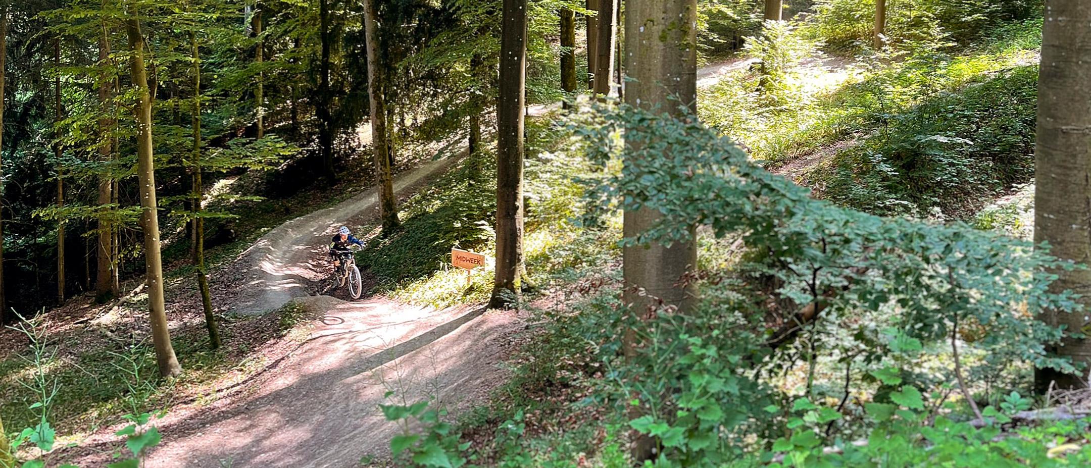 Mountainbiker fährt auf einem offiziellen Trail zwischen den Bäumen am Uetliberg