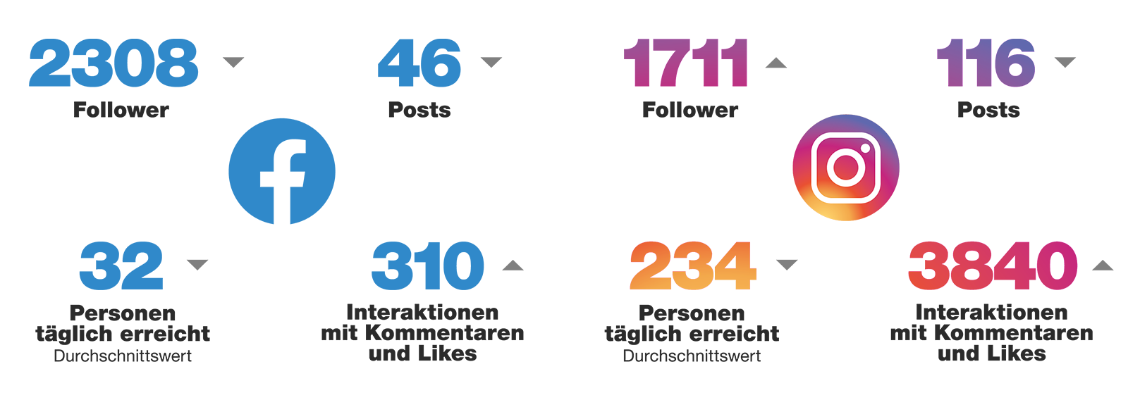 Zahlen zu Social Media von @velo.zh.ch: Facebook und Instagram mit Follower-Anzahl, Posts, täglich erreichten Personen und Interaktionen.