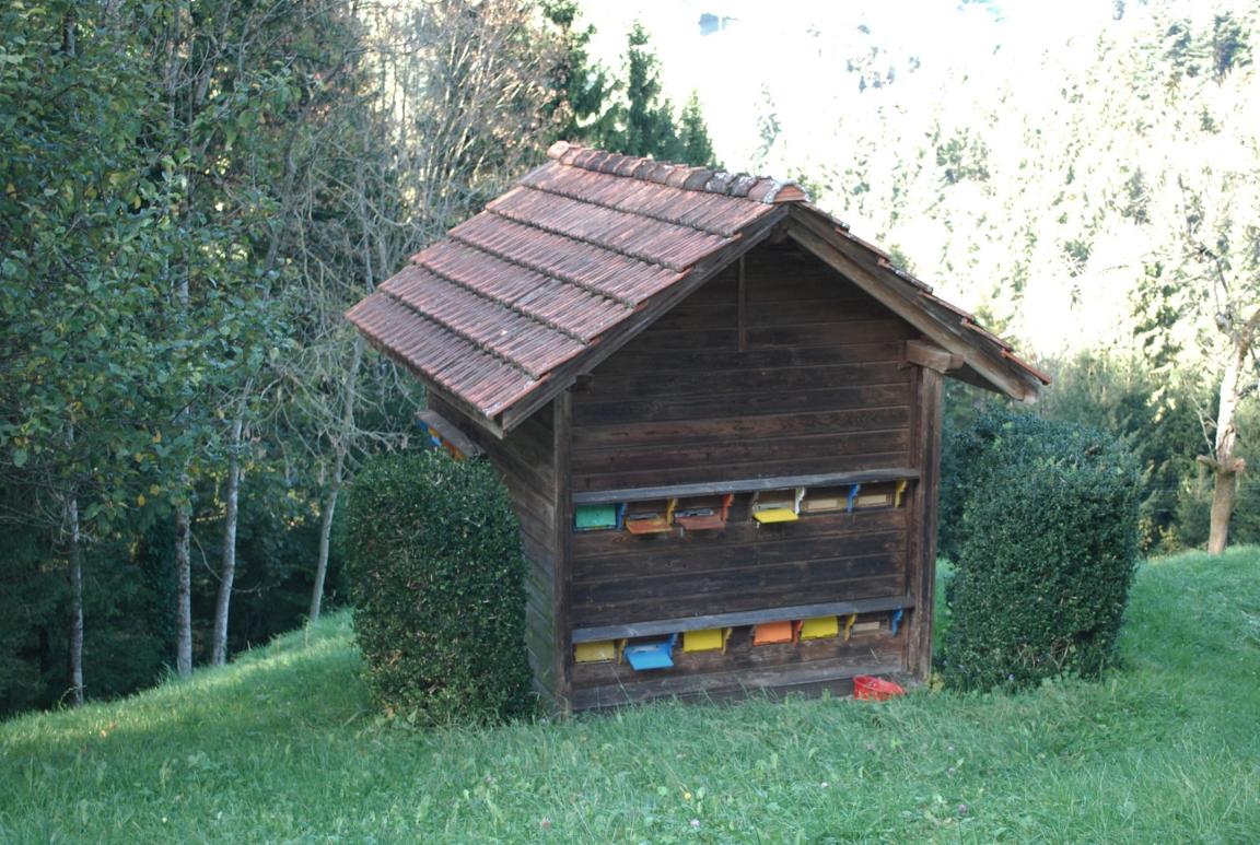 Bienenhaus in steilem Gelände vor Wald