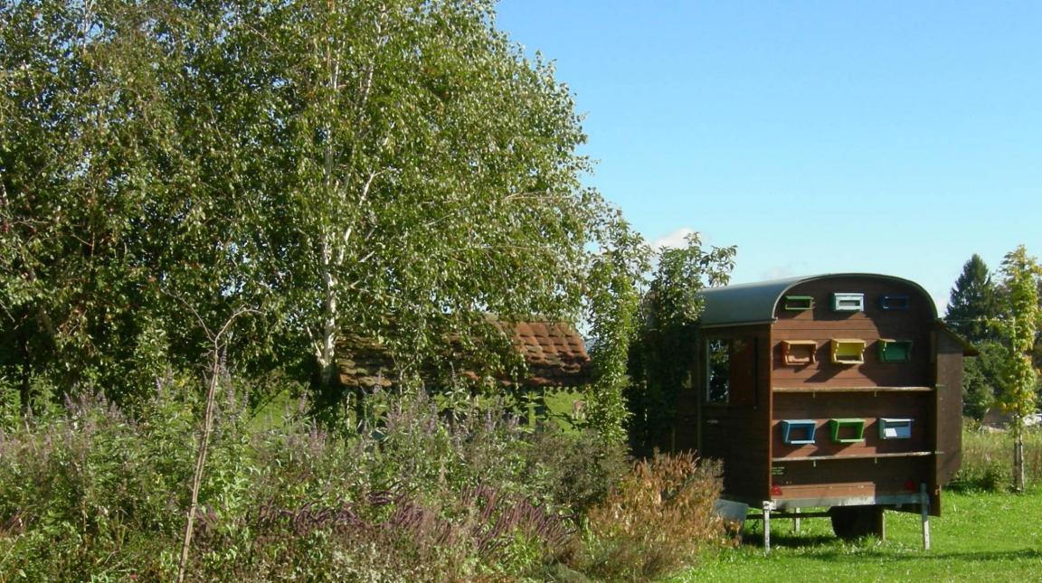 Bienenwagen eingebettet in die Landschaft