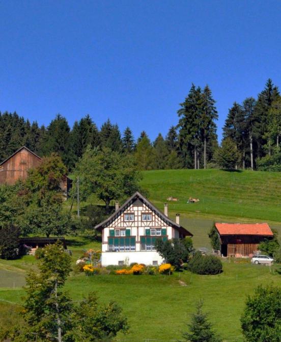 Einbettung eines Wohnhauses in die Umgebung