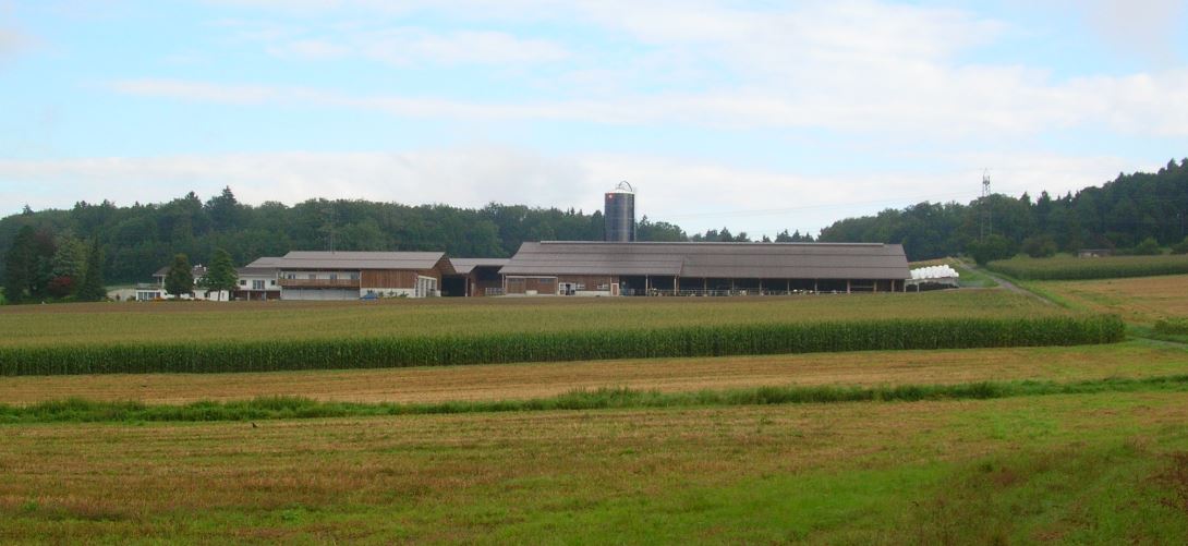 Landwirtschaftliches Gebäude passt sich gut in die Landschaft ein