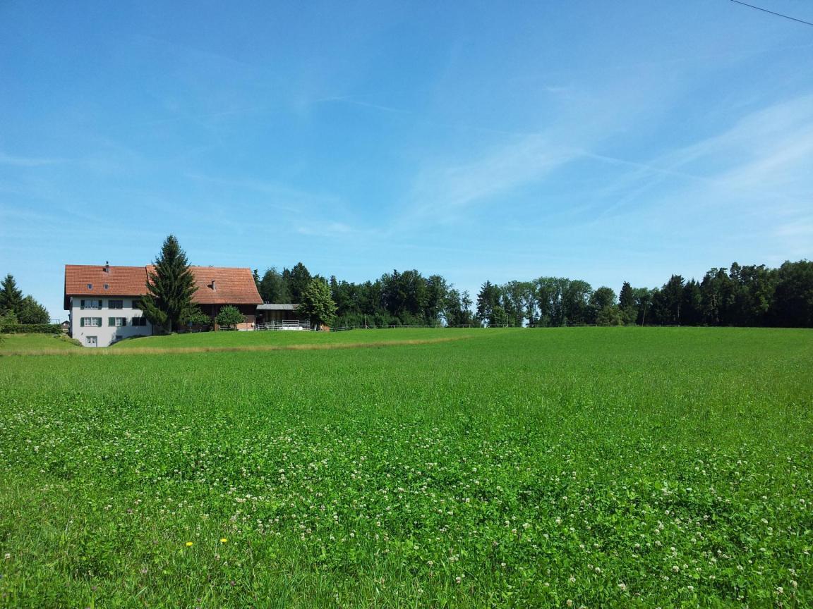 Gut eingepasster Bauernhof in der freien Landschaft