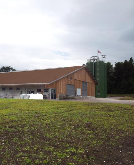 Hochsilos hinter Stall und vor dem Wald