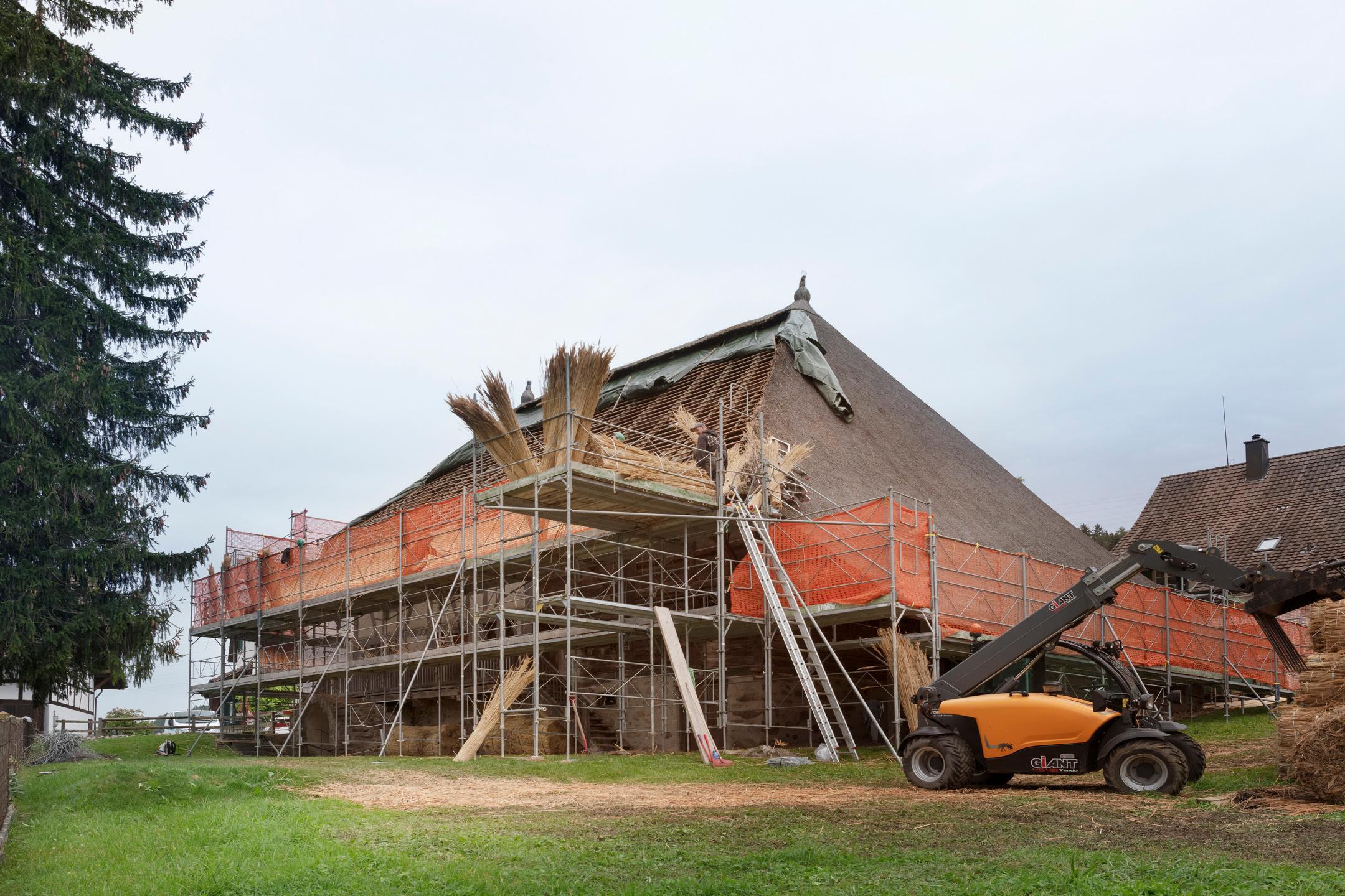 Strohdachhaus Hüttikon mit Gerüst im Frühling 2019.