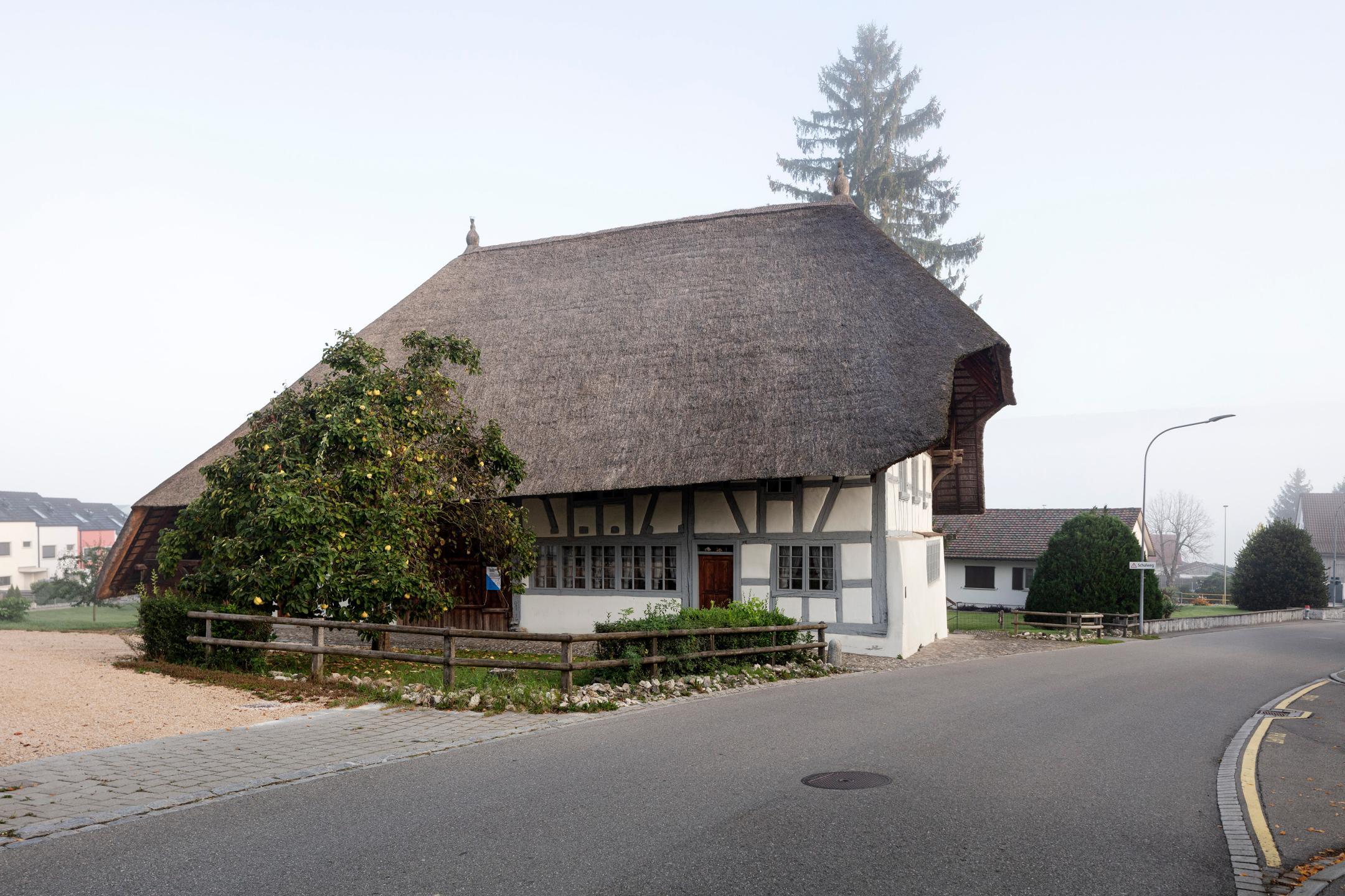 Südseite des Strohdachhauses in Hüttikon im anfangs 2019 vor der Erneuerung der Dachflächen.