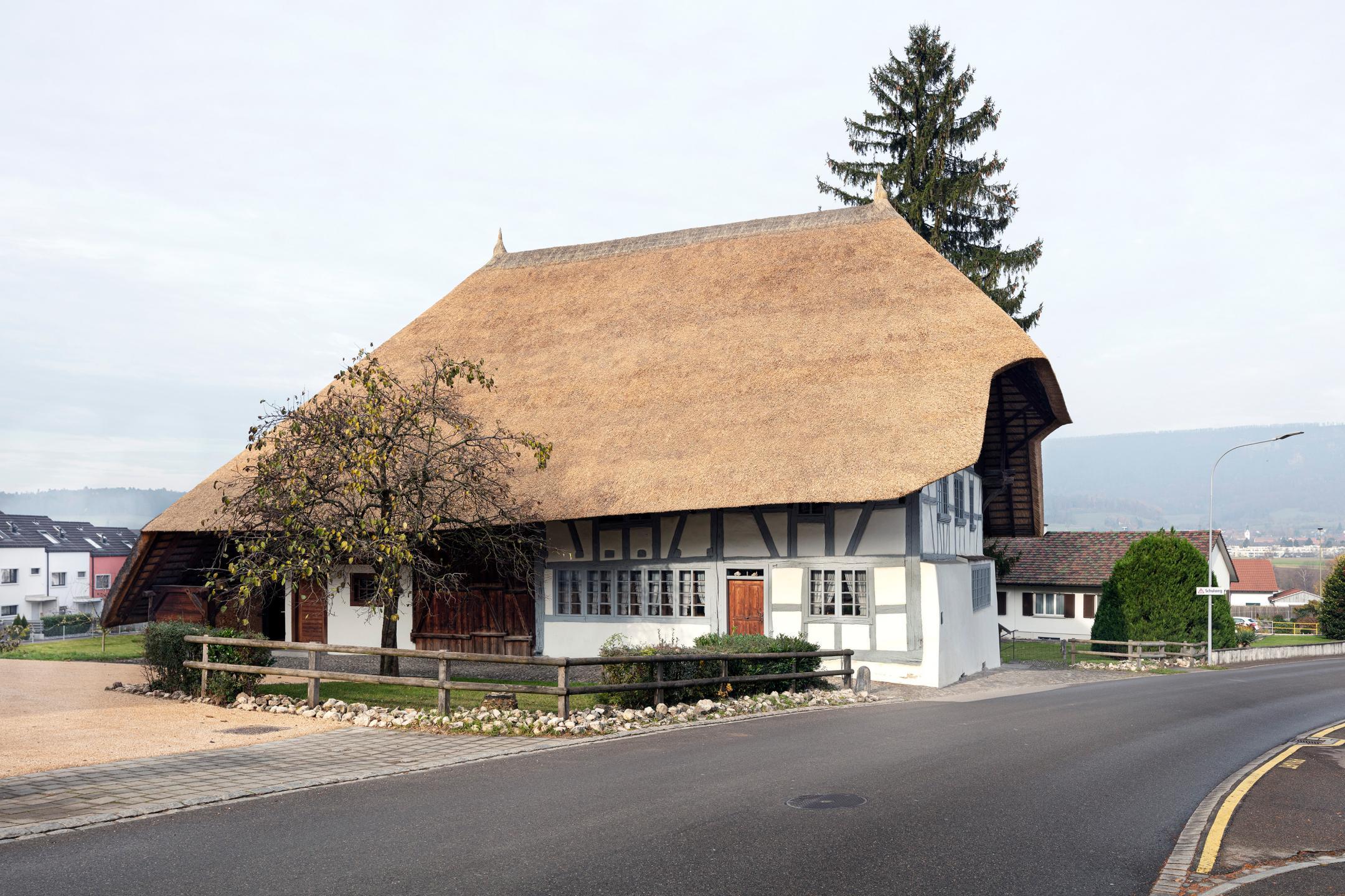 Südseite des Strohdachhauses in Hüttikon im Oktober 2019 nach der Erneuerung der Dachflächen.