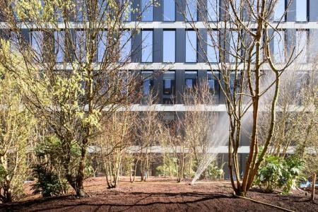 Aussenfassade des PJZ-Gebäudes hinter frisch gepflanzten Bäumen, die von einem Sprinkler benässt werden.