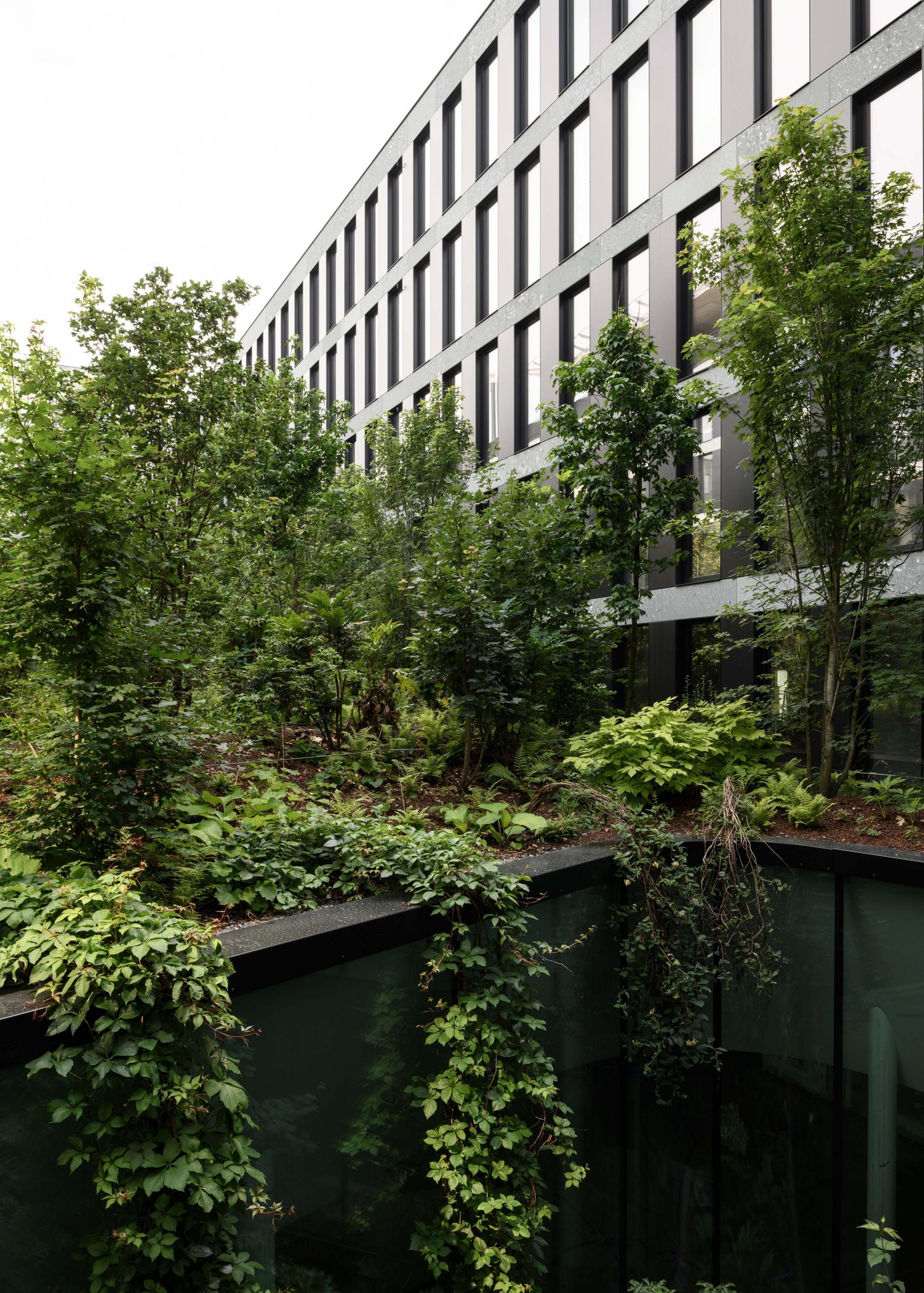 begrünter Innenhof des PJZ