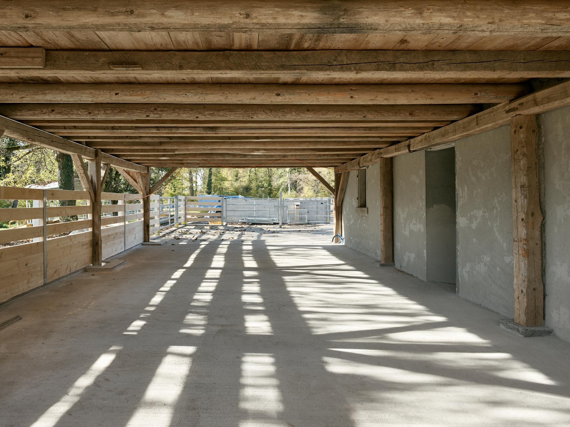 Die ehemalige Remise auf der Südseite wird neu als Tiefstreufläche für die Mutterkühe genutzt.