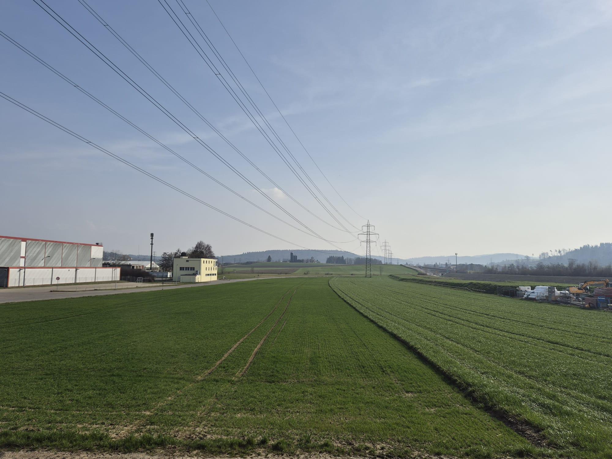 Wiese in Industriezone in Hettlingen.
