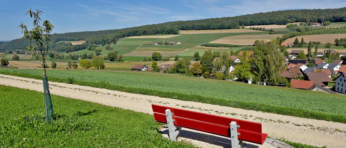 Auf der Abbildung ist ein Teil der Agrarlandschaft Bachsertal zu sehen. Im Vordergrund des Bildes sieht man die Rückseite einer roten Sitzbank. Sie steht an einem Weg, der ein Feld von links nach rechts durchquert. Links neben der Sitzbank steht ein noch junger angepflanzter Baum. Von der Sitzbank aus blickt man über den Weg auf mehrere braungrüne Felder an einem flachen Hang. Auf dem Hügel ist ein Wald zu sehen, der an die Felder angrenzt. Am Fusse des Hügels ist eine Ortschaft zu sehen. Es ist schönes Wetter mit blauem Himmel.