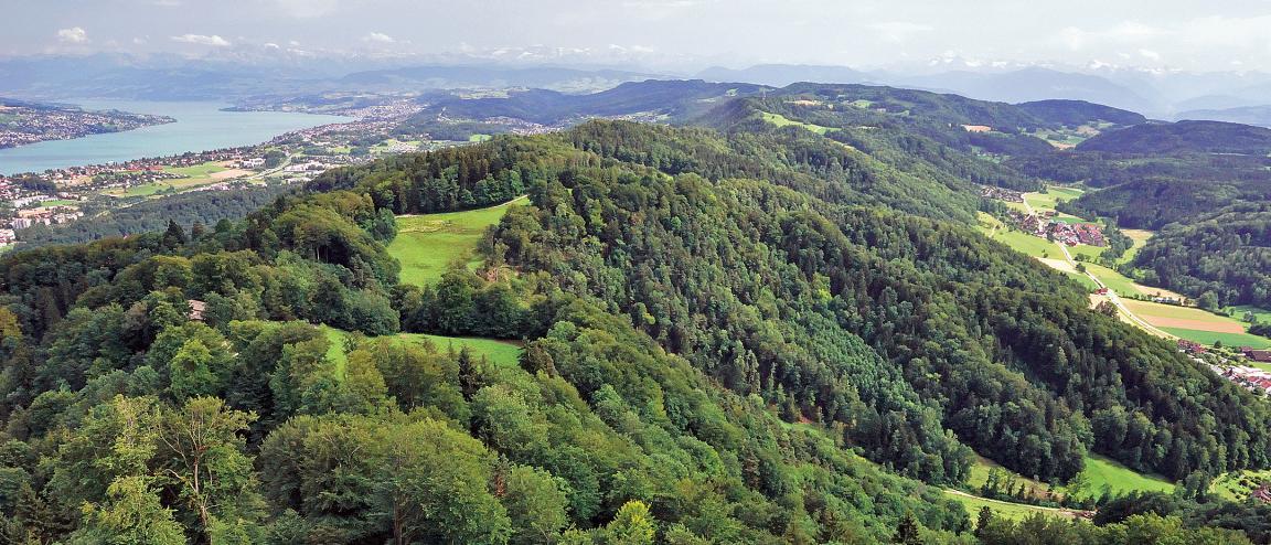 Auf der Abbildung ist die Albiskette zu sehen. Es handelt sich um ein perspektivisches Luftbild, ungefähr Höhe Uetliberg aufgenommen, mit Blick in Richtung Süden entlang der HügelketDie Albiskette ist bewaldet und erscheint dementsprechend in einem dunkeln Grün. Der schmale Himmelsausschnitt auf dem Bild zeigt einen blaugrauen Himmel mit einigen Wolken. In der Ferne sind der Zürichsee und angrenzendes Siedlungsgebiet zu sehen.